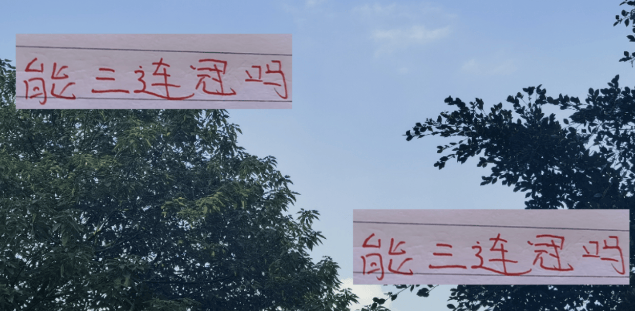 浙江的比赛, 成都蓉城全, 球员