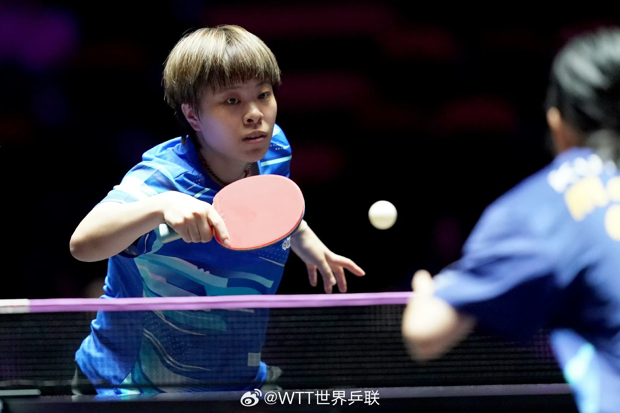 MdY, 王楚钦表示