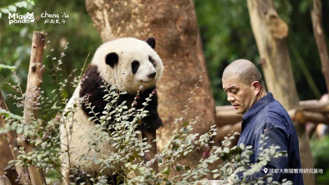 amp, 止都止不住, 奖杯